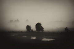 32448276173_f1f565087f_m